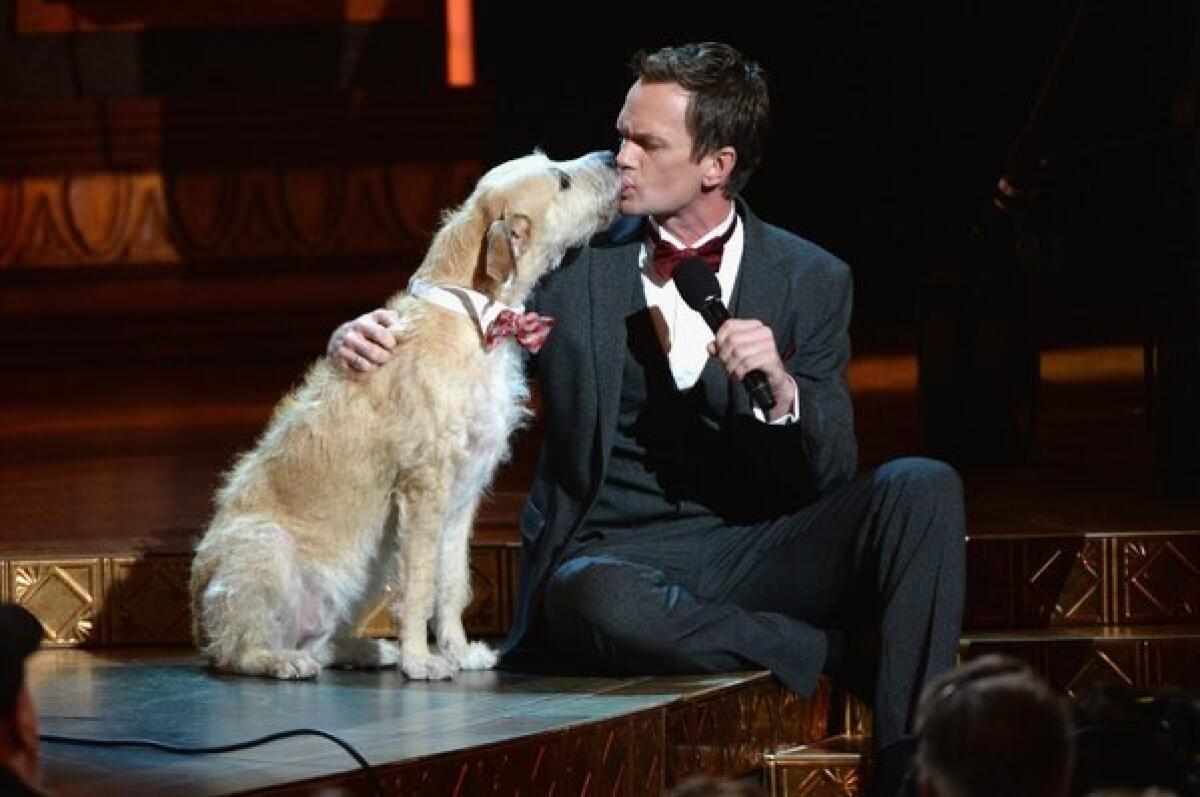 Tony Awards host Neil Patrick Harris shares a moment with Sandy from the musical "Annie" during Sunday's telecast from Radio City Music Hall in New York.