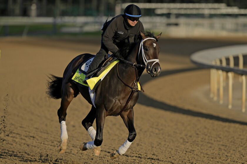 FILE - Kentucky Derby hopeful Forte works out at Churchill Downs on May 2, 2023, in Louisville, Ky. Forte, the Kentucky Derby favorite who was scratched the morning of the race because of a foot injury, had his final workout Saturday, June 3, for next weekend's $1.5 million Belmont Skates. (AP Photo/Charlie Riedel, File)