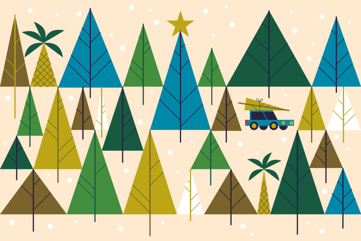 A car with a Christmas tree strapped to its roof in a grove of pine trees with two palm trees.