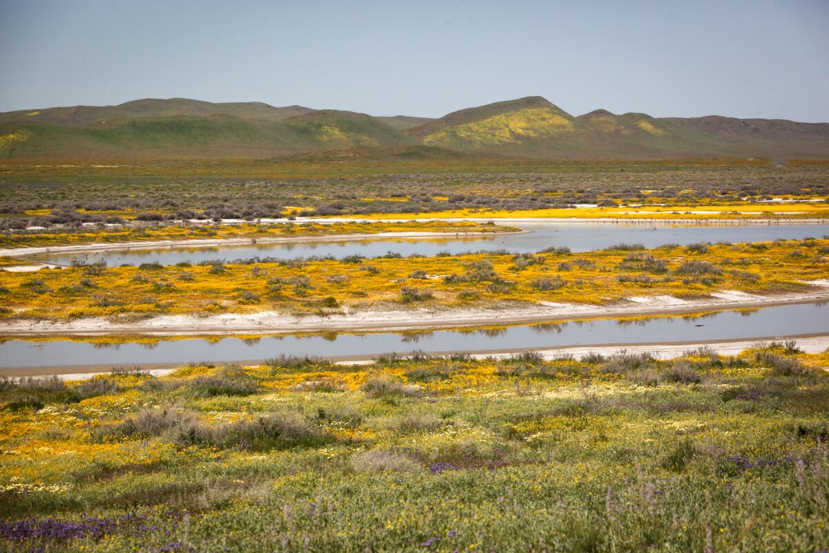 Selby Campground, Carrizo Plain National Monument
