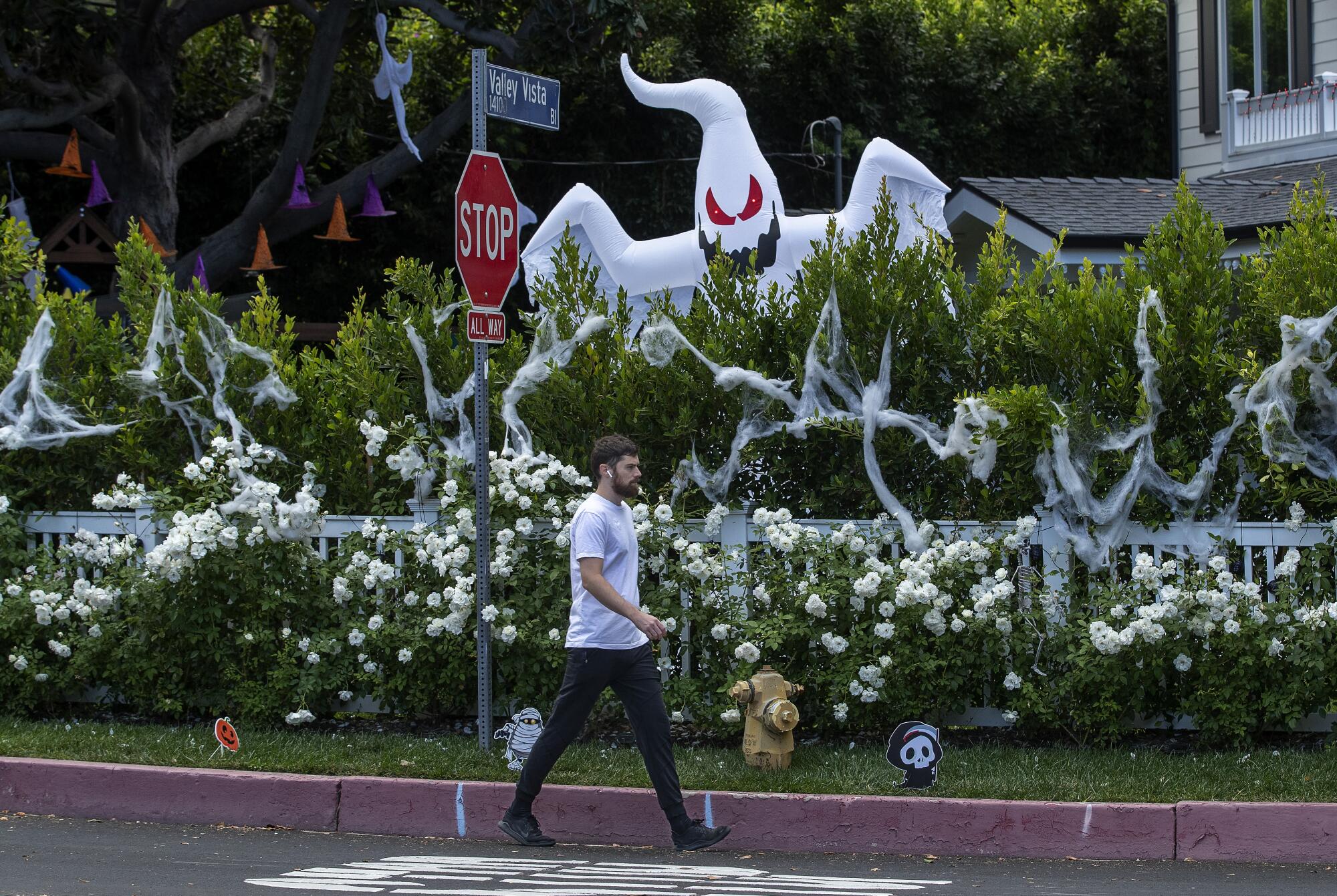 A ghost and cobwebs decorate a hedge on Stansbury Avenue in Sherman Oaks.