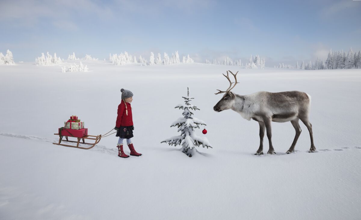 A girl with a sleigh and presents stands by a small Christmas tree with a reindeer