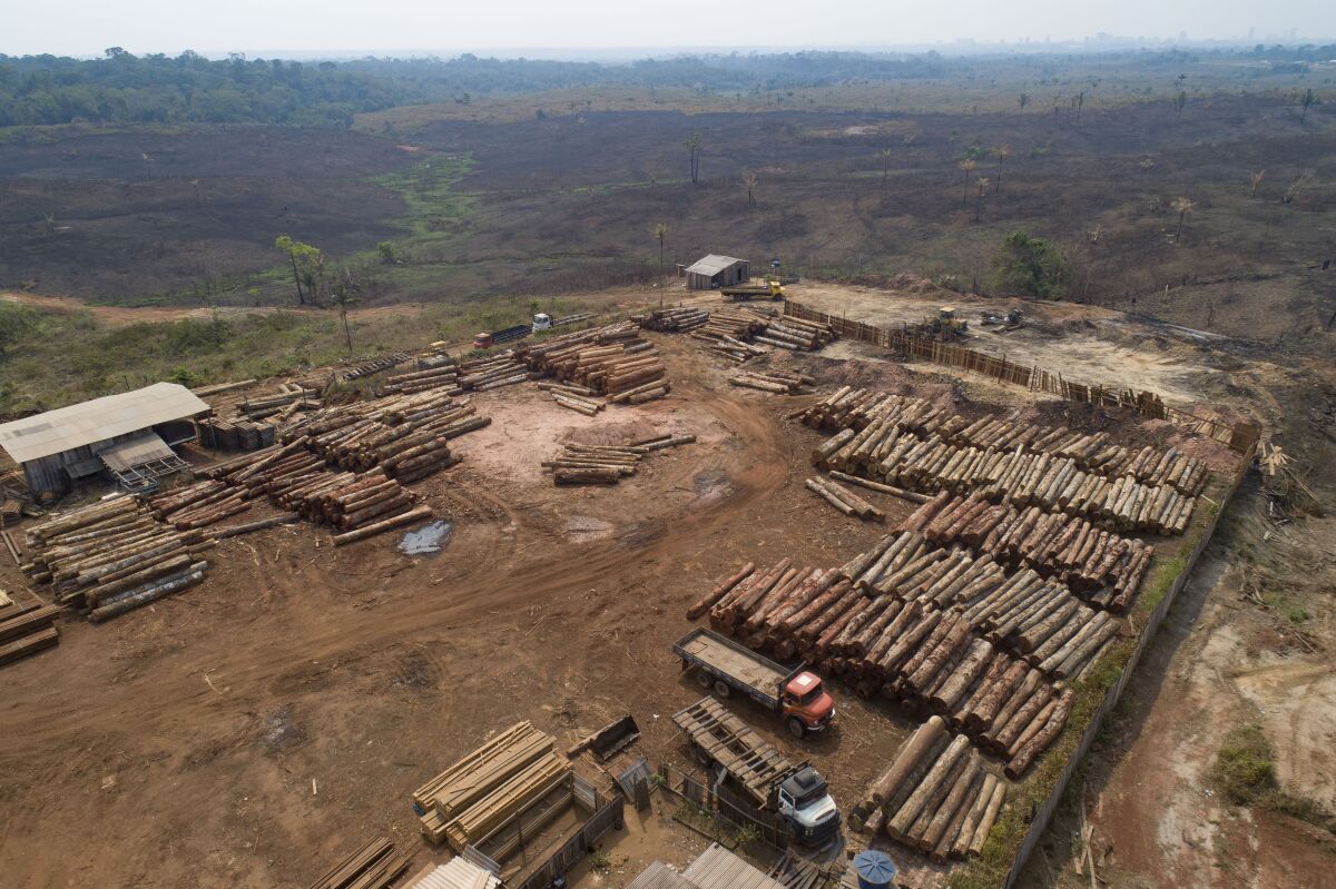 FILE - In this Sept. 2, 2019 file photo, logs are stacked at a lumber mill surrounded by recently charred and deforested fields near Porto Velho, Rondonia state, Brazil. Dozens of Brazilian corporations are calling for a crackdown on illegal logging in the Amazon rainforest, expressing their concerns in a letter Tuesday, July 7, 2020, to the vice president, who heads the government's council on that region. (AP Photo/Andre Penner, File)