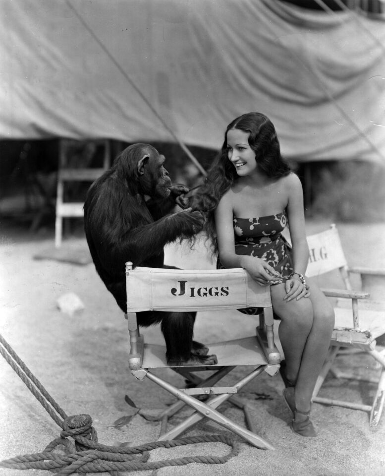 Circa 1937: Dorothy Lamour, playing with "Jiggs" the chimpanzee, while on location in Palm Springs for "Her Jungle Love."