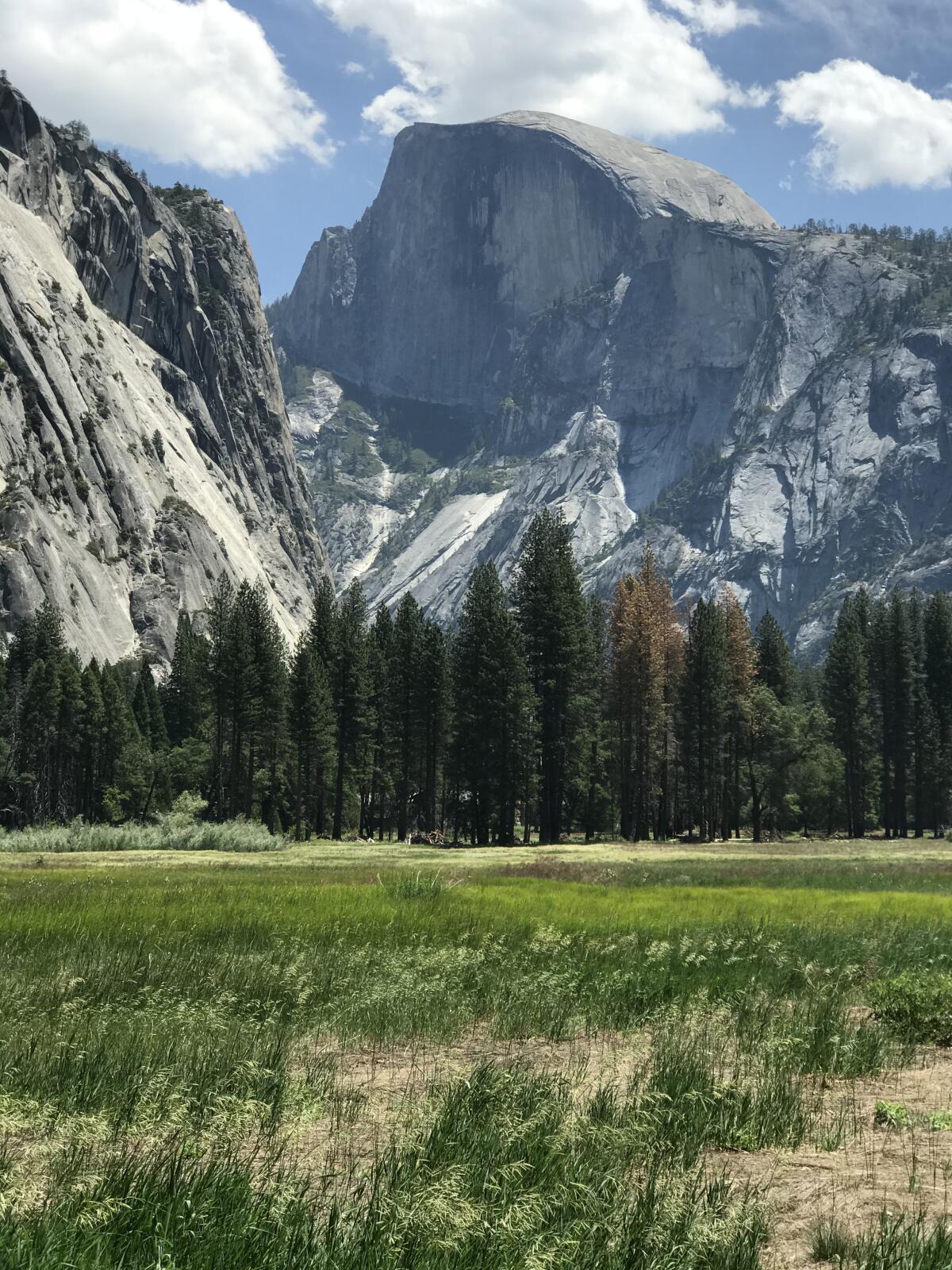 Half Dome in Yosemite National Park, photographed in June 2020.