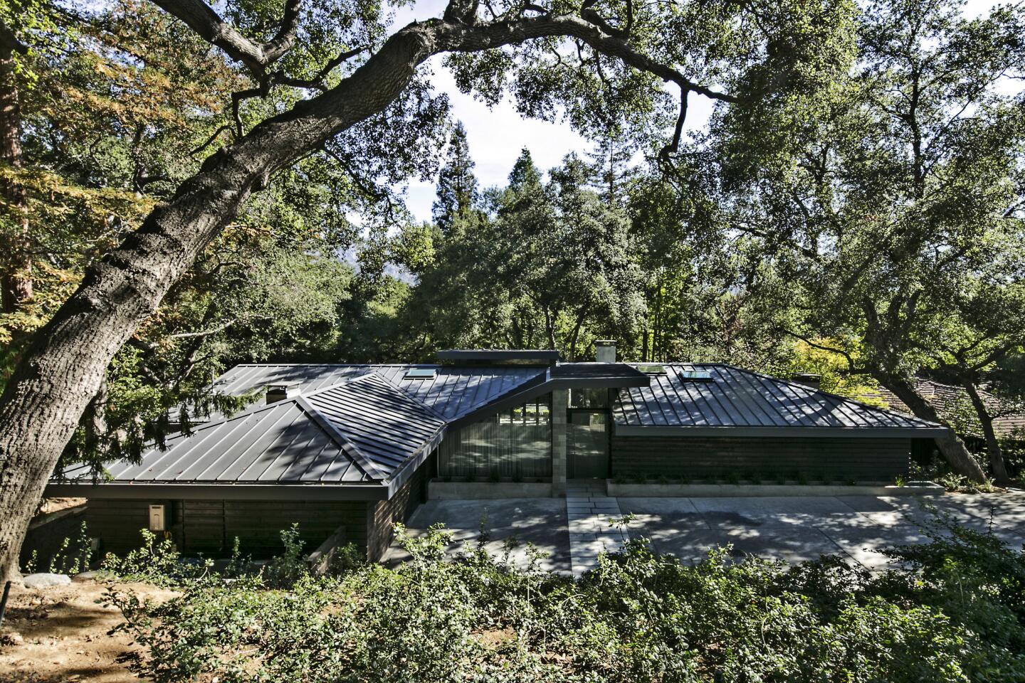 Sunnie Kim's midcentury home is set below street level and embraced by giant redwood, oak and maple trees.