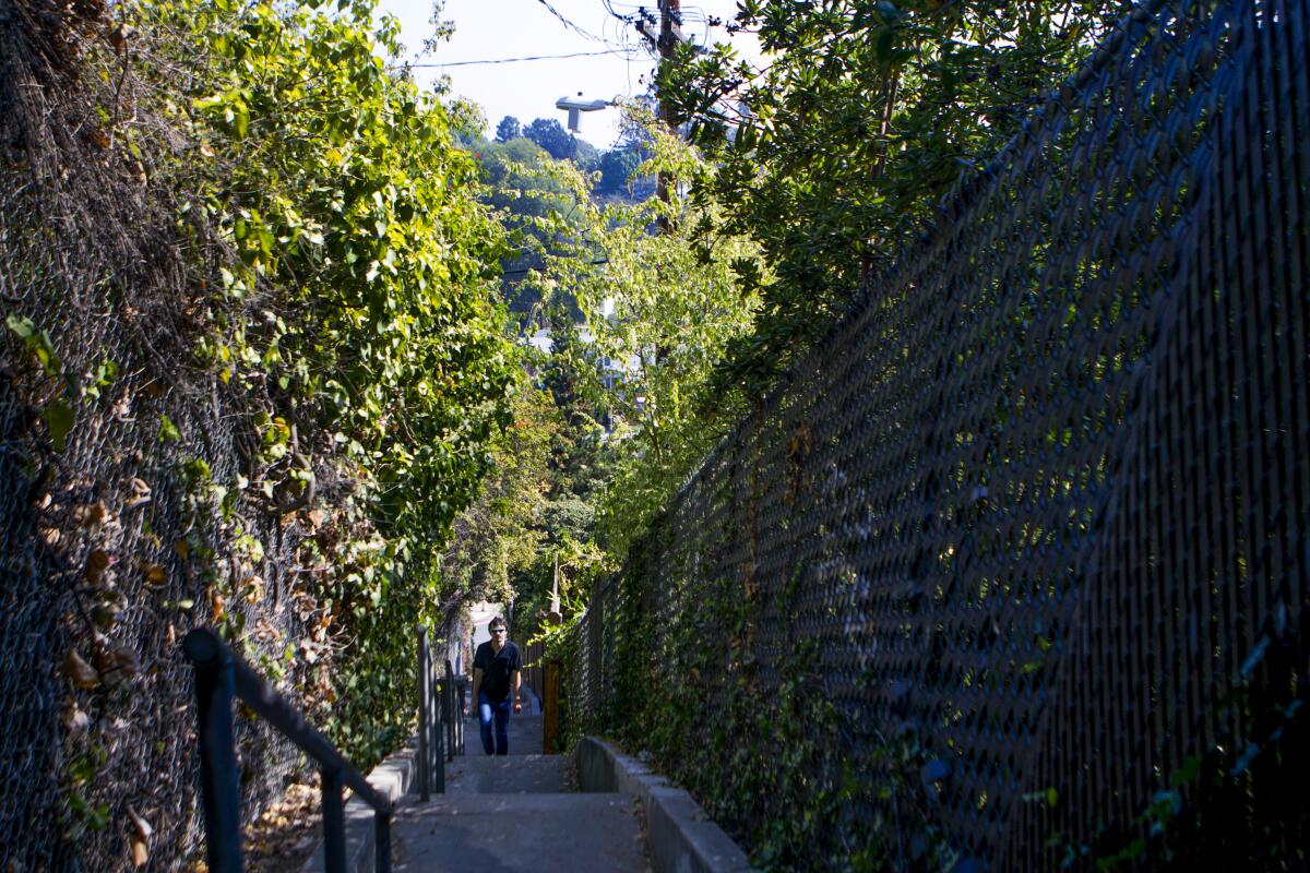 A look at the steep Music Box Steps