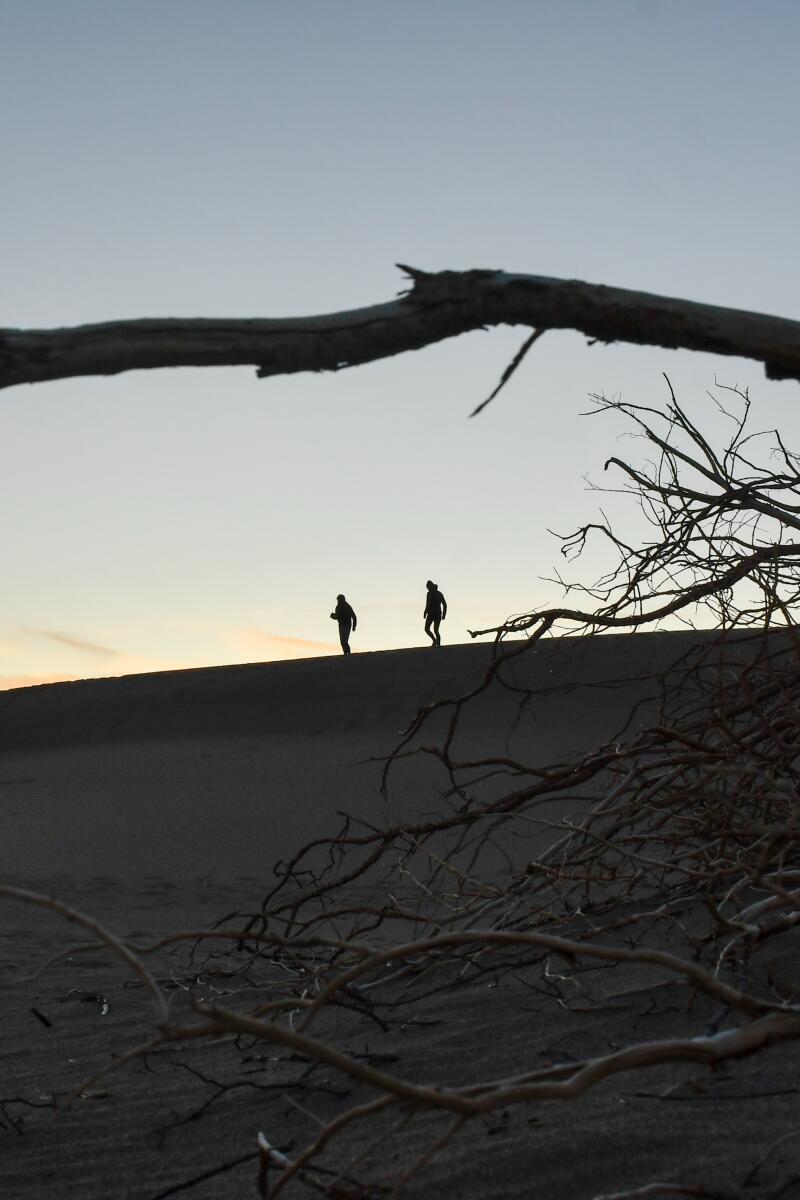 Mesquite Flat Sand Dunes, Death Valley National Park.