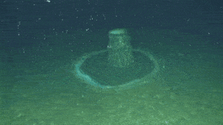 A discarded chemical barrel on the ocean floor