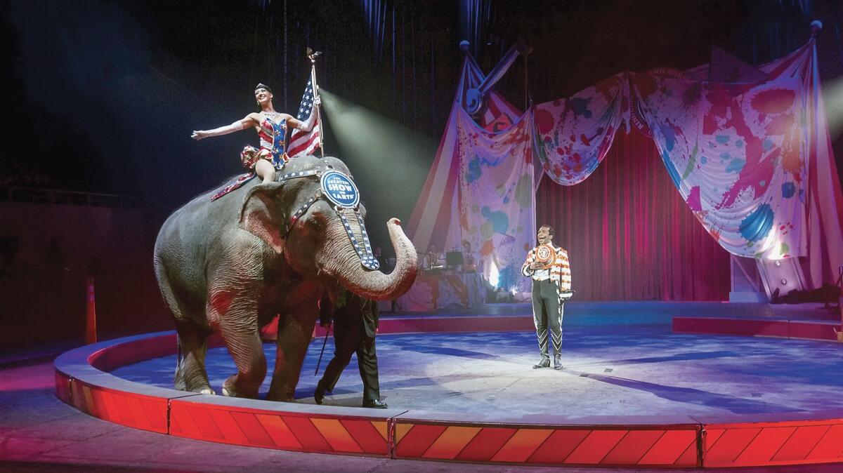 The Ringling Brothers and Barnum & Bailey Circus performs in Knoxville, Tenn on Feb. 19, 2015.