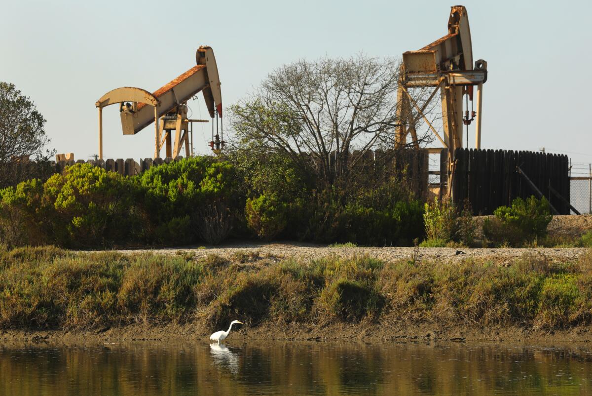 Pumps pull oil from wells overlooking wetlands  