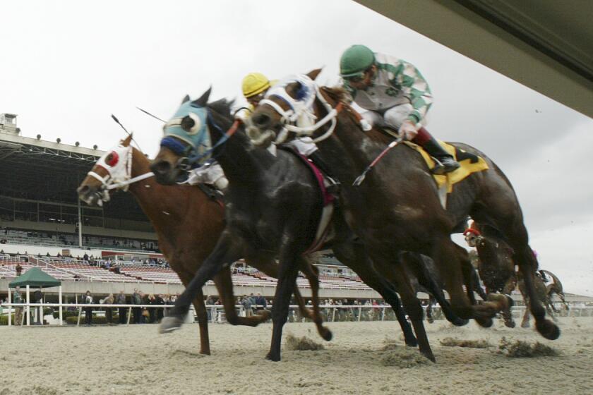Hall of Fame jockey Russell Baze crosses the finish line to win at Golden Gate Fields in Albany on Jan. 1, 2008. 