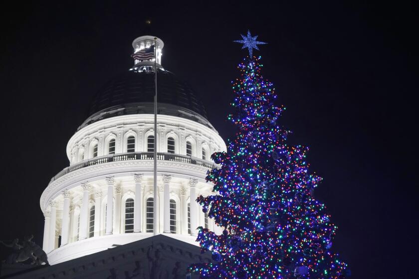 Lights from the Capitol Christmas Tree glow after a virtual tree lighting ceremony held by Gov. Gavin Newsom in Sacramento, Calif., Friday, Dec. 11, 2020. The 65 foot-tall white fir tree is decorated by approximately 14,000 ultra-low voltage LED lights and more than 300 traditional ornaments and 500 hand-crafted ornaments made by children and adults with intellectual and developmental disabilities. (AP Photo/Rich Pedroncelli)