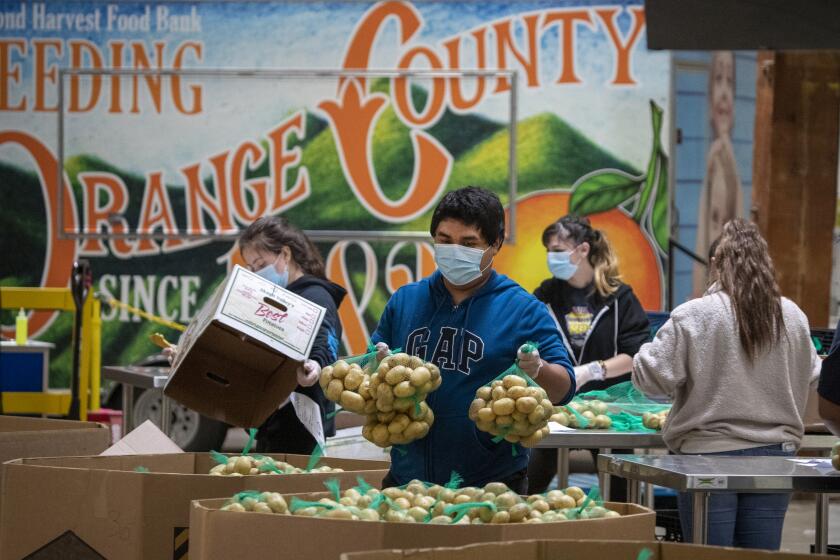 IRVINE, CA -- WEDNESDAY, APRIL 1, 2020: Jose Secundino, center, joins fellow recently hired Second Harvest Food Bank of Orange County temporary employees, who have been laid off from restaurant jobs due to the coronavirus pandemic, as they pack boxes of food for the needy. Volunteers then picked up the food and delivered it to local senior centers in Orange County. Photo taken at Second Harvest Food Bank at the Orange County Great Park in Irvine, CA, on April 1, 2020. (Allen J. Schaben / Los Angeles Times)