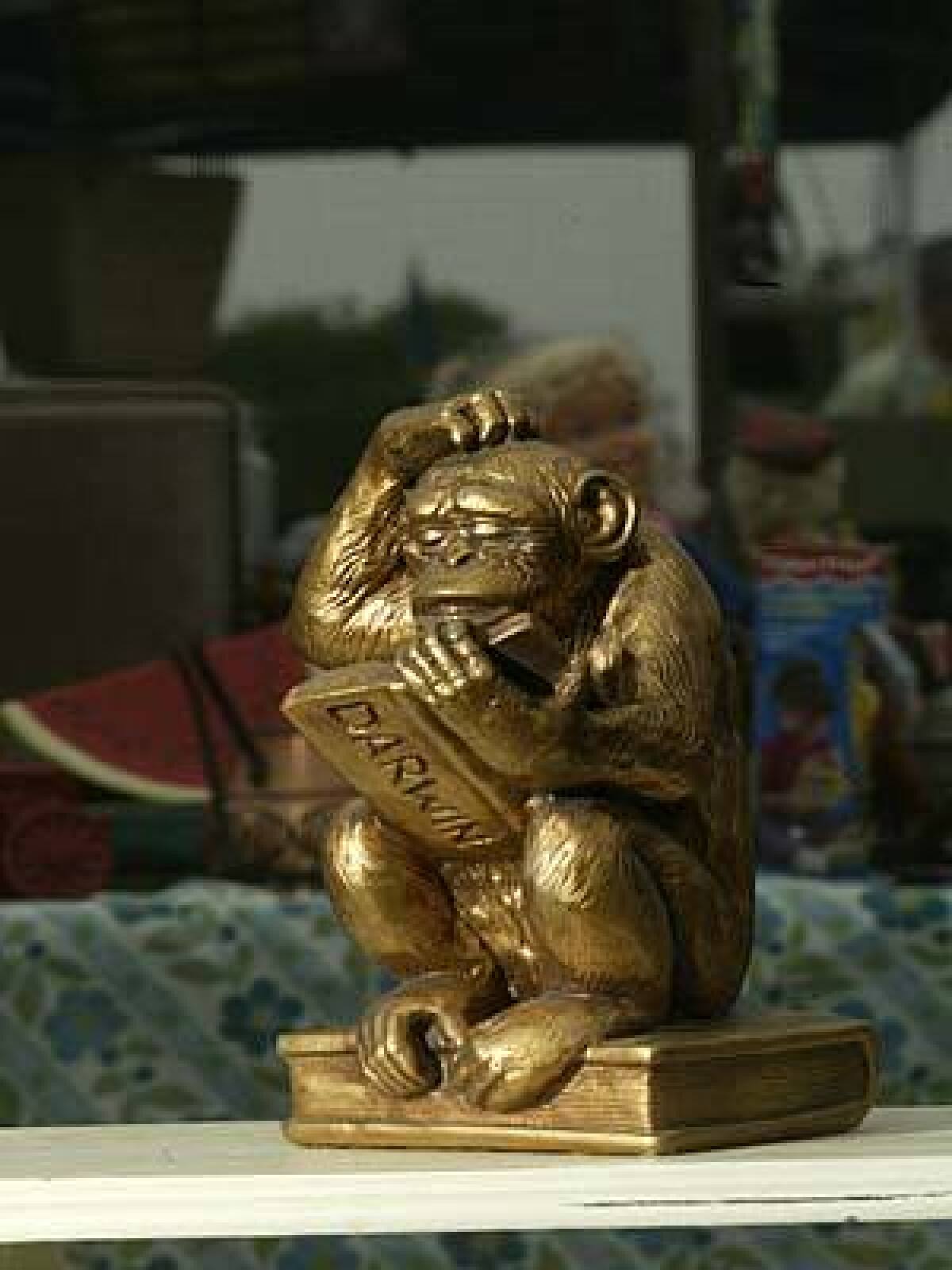 A monkey reading Darwin, at the Long Beach Outdoor Antique & Collectible Market.