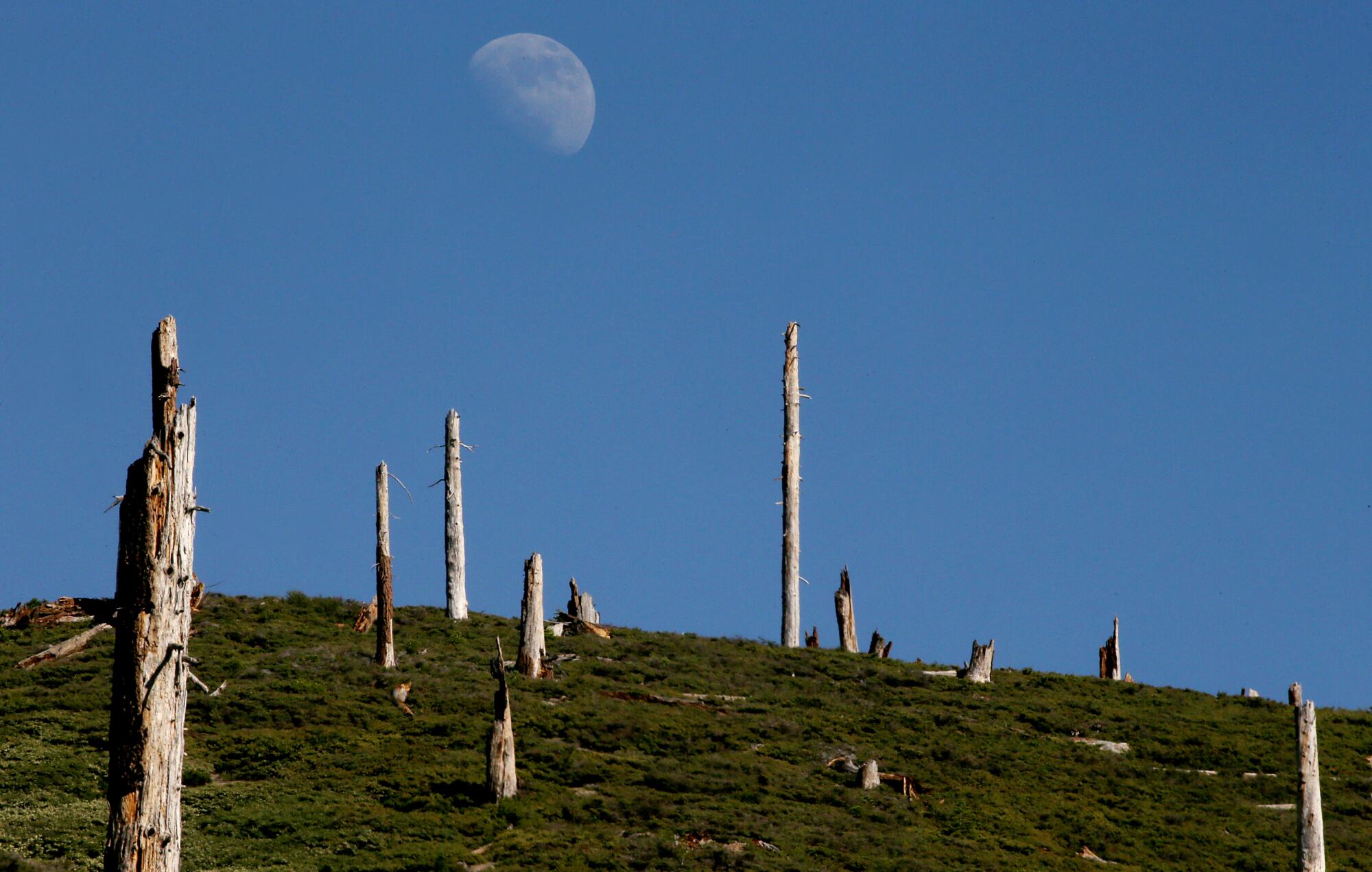 The moon rises over a burn scar left on the landscape by the 1992 Rainbow fire.