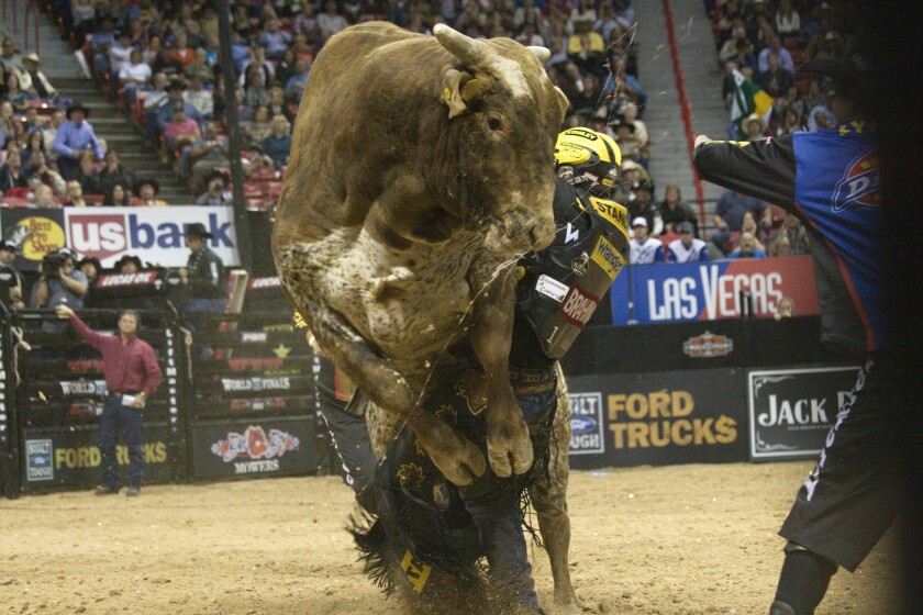 Las Vegas Bull riders to compete for 1 million at world championship