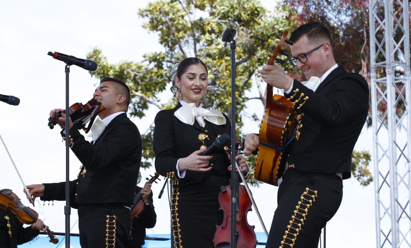 Mariachi Estrellas de Chula Vista played during their Sunday performance performance at the annual International Mariachi Festival in National City.