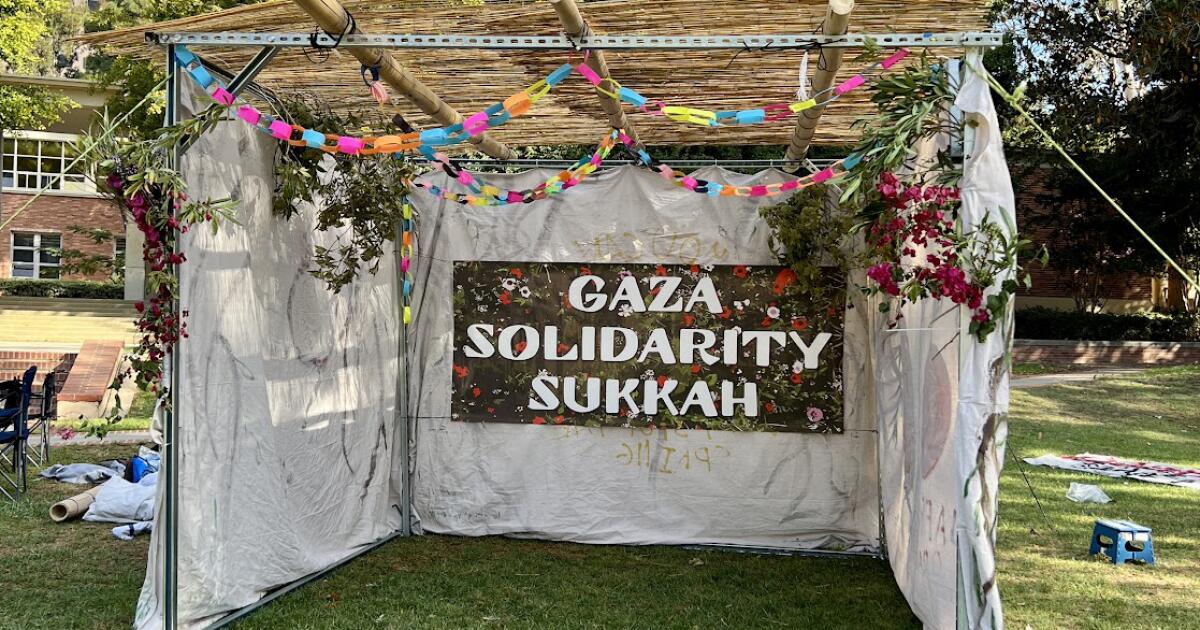 One arrested as UCLA police dismantle 'Gaza solidarity sukkah' and disperse student protest