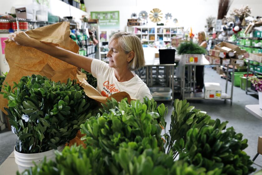 TORRANCE-CA-JUNE 17, 2021: Casey Schwartz unwraps greenery at Flower Duet, a floral design business she co-owns with her sister Kit Wertz, as they prepare for events this weekend at their studio in Torrance on Thursday, June 17, 2021. (Christina House / Los Angeles Times)