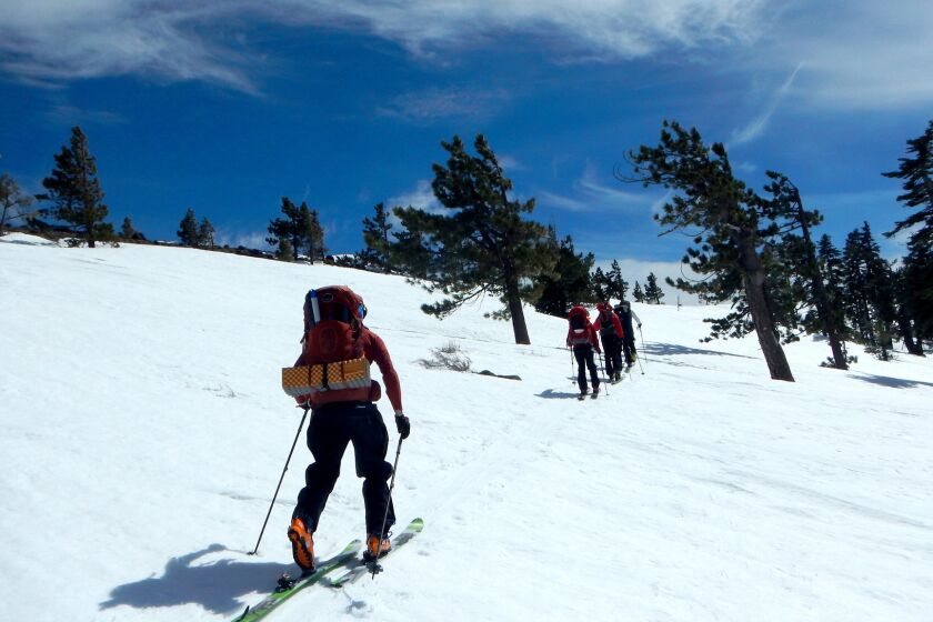 Backcountry skiers moving up snow-covered slopes northwest of Lake Tahoe on a two-day backcountry ski traverse between the Sugar Bowl and Squaw Valley ski resorts.