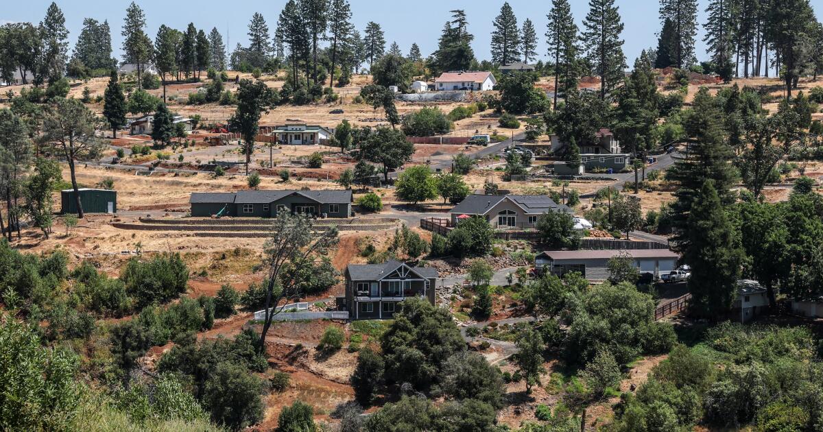 Younger, richer and smaller: How California's era of wildfire has changed communities forever