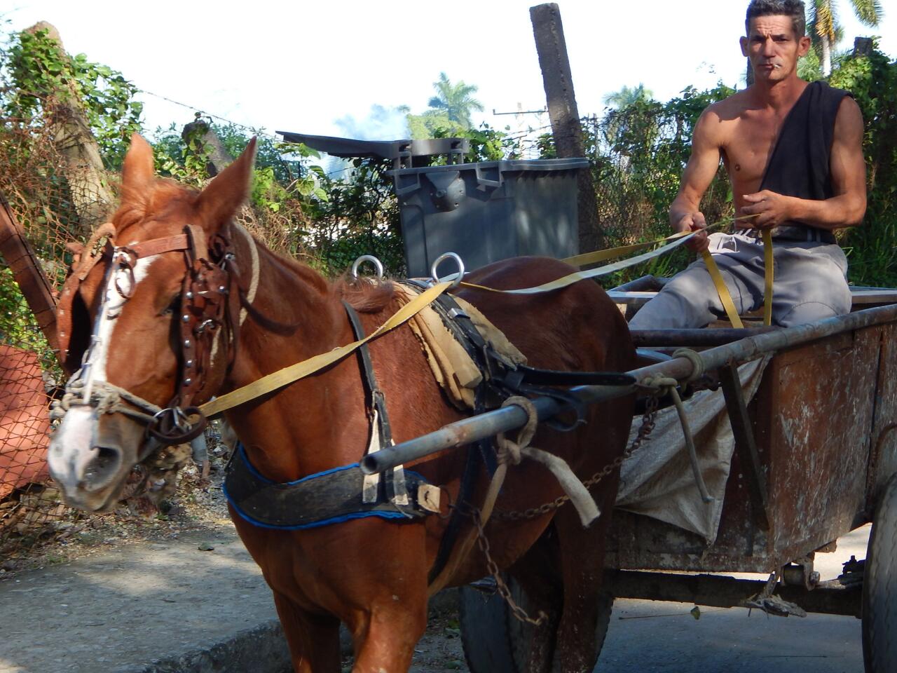 Horse and carts are still very much in use in Cuba, like this one outside Hemingway's Finca de Vigio.