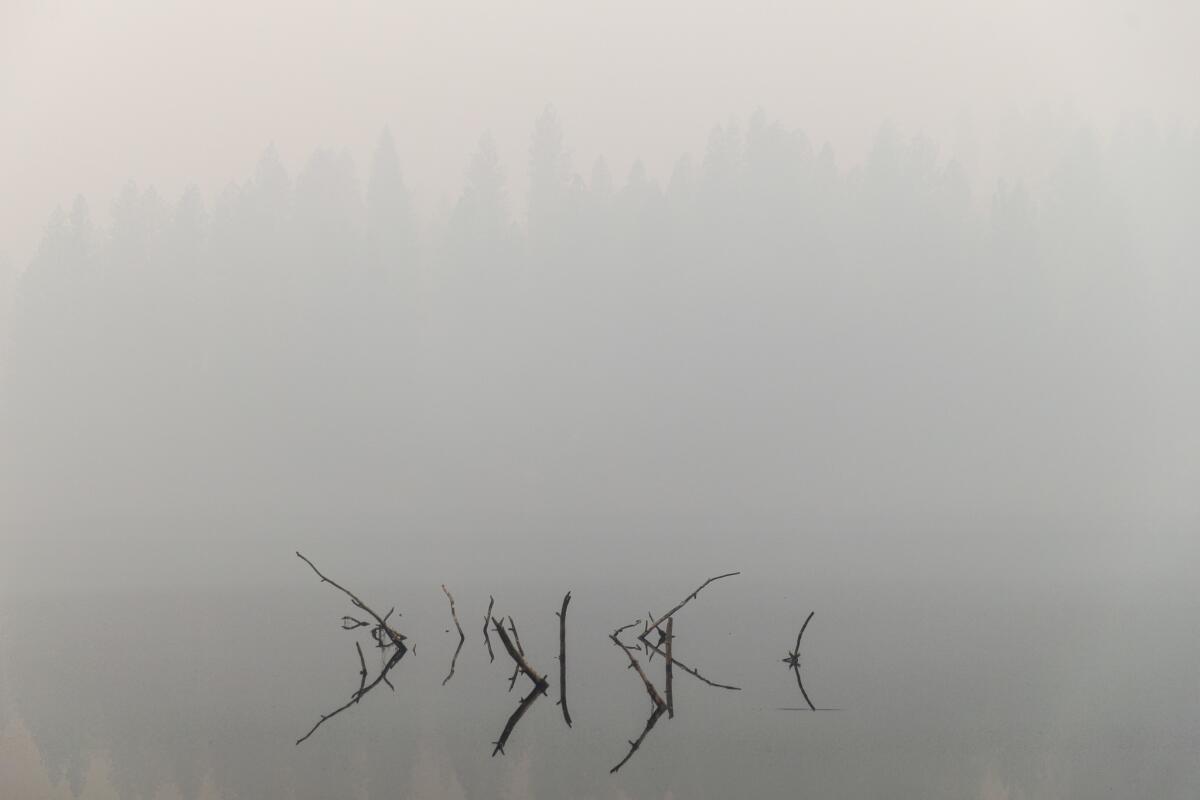 Smoke from the Camp fire obscures the view of the banks of trees across the Concow Reservoir.