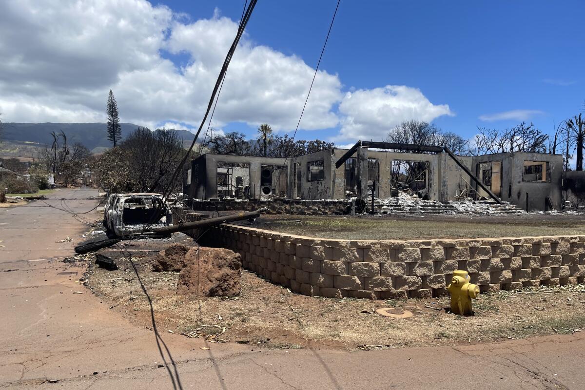 Kovach ailesinin yaşadığı Lahaina mahallesi, Ağustos ayında Maui'deki orman yangını nedeniyle neredeyse tamamen yok oldu.