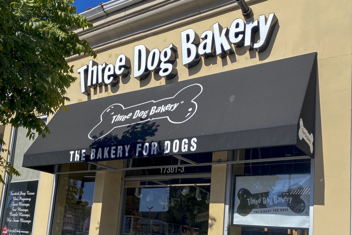 The exterior of a pet boutique with an awning