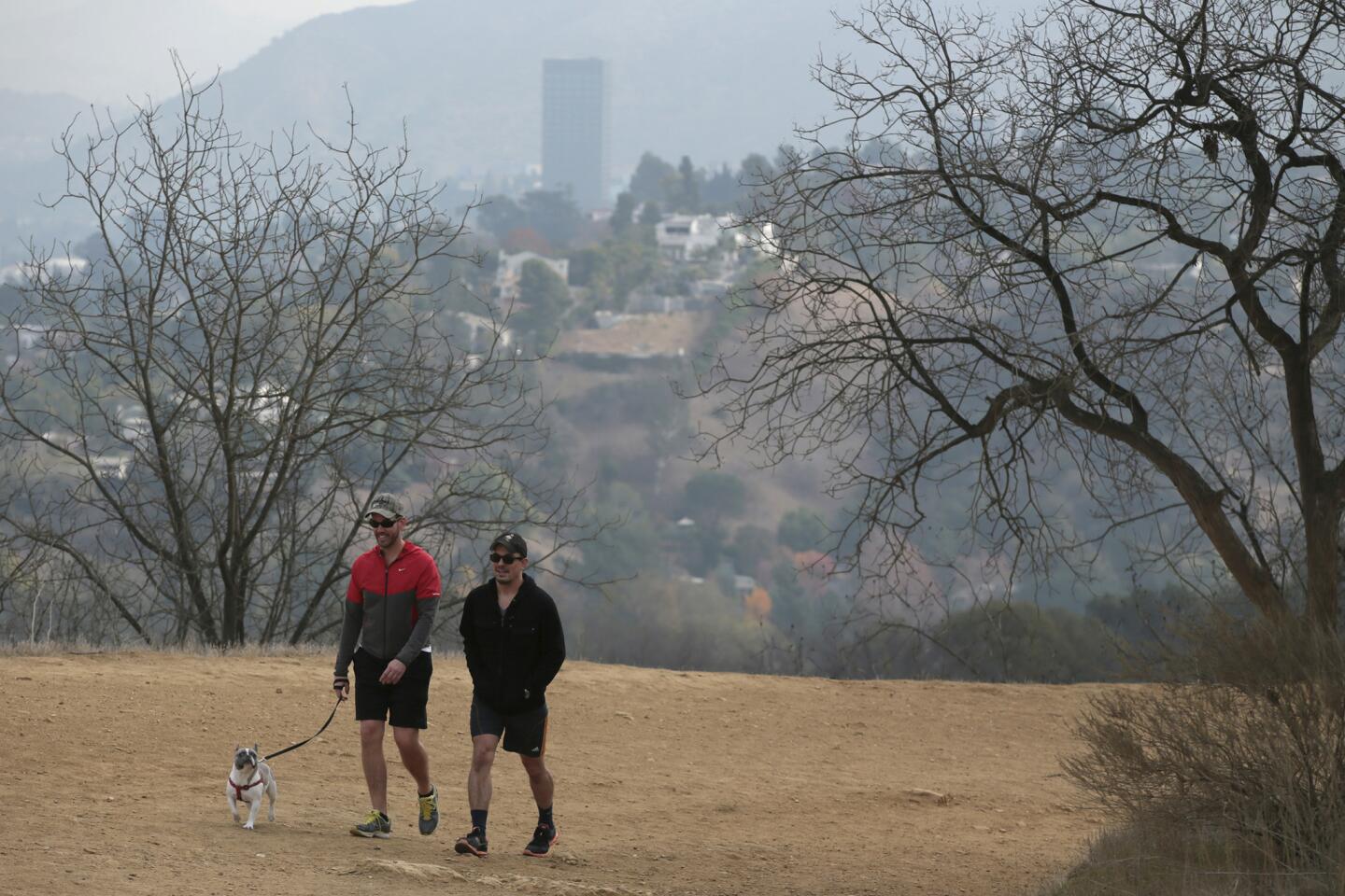 L.A. Walks: Footloose in Fryman Canyon