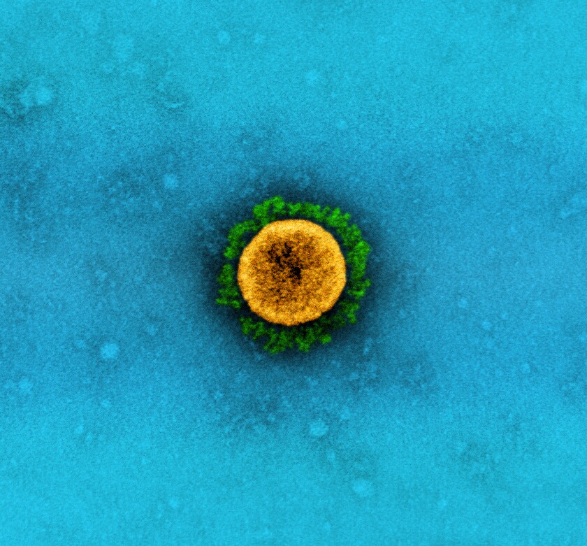 A SARS-CoV-2 virus particle