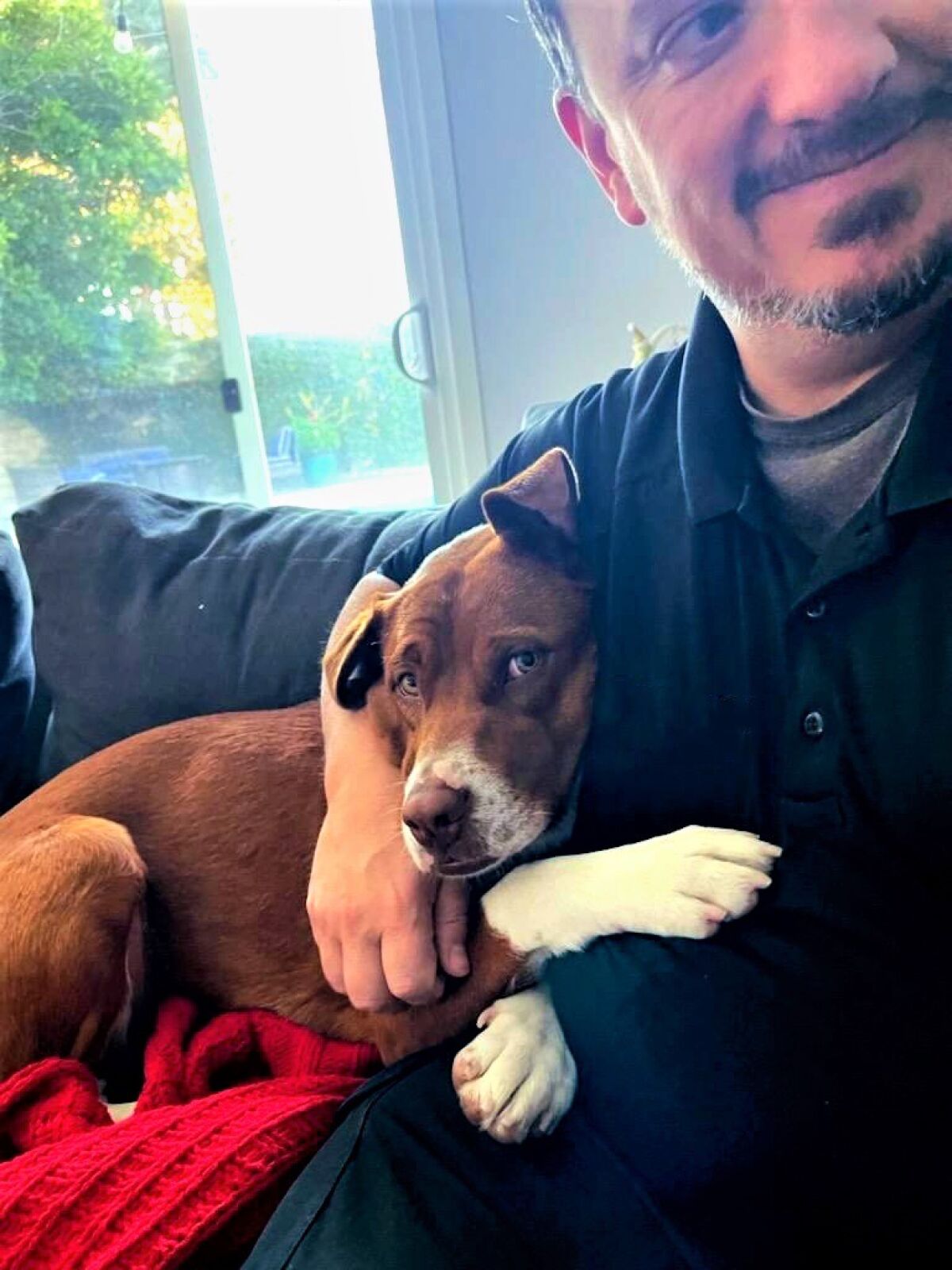 Recent Cell Dogs graduate Polly at home with her new family, after being adopted by a probation department employee.