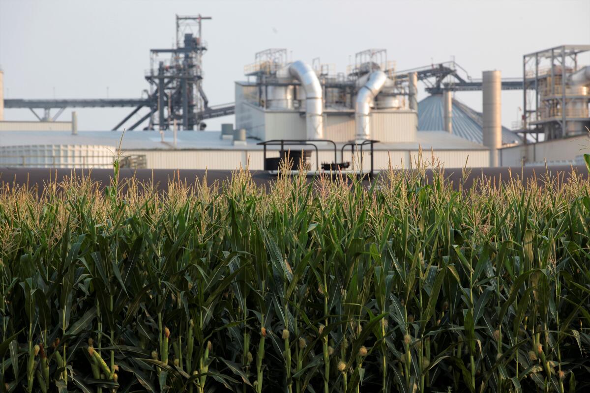 An ethanol refinery in the distance