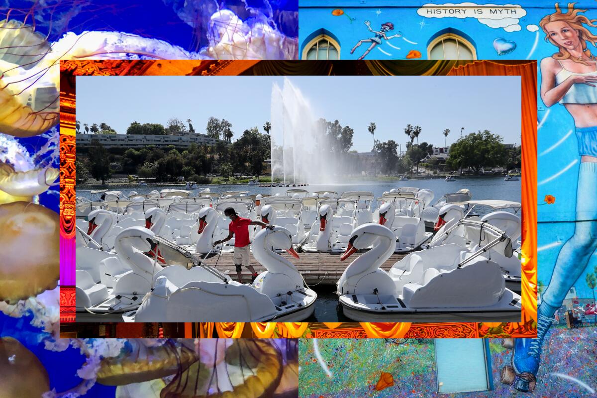 Collage of images featuring swan paddle boats on a lake, jellyfish in an aquarium, a mural and the El Capitan theater.