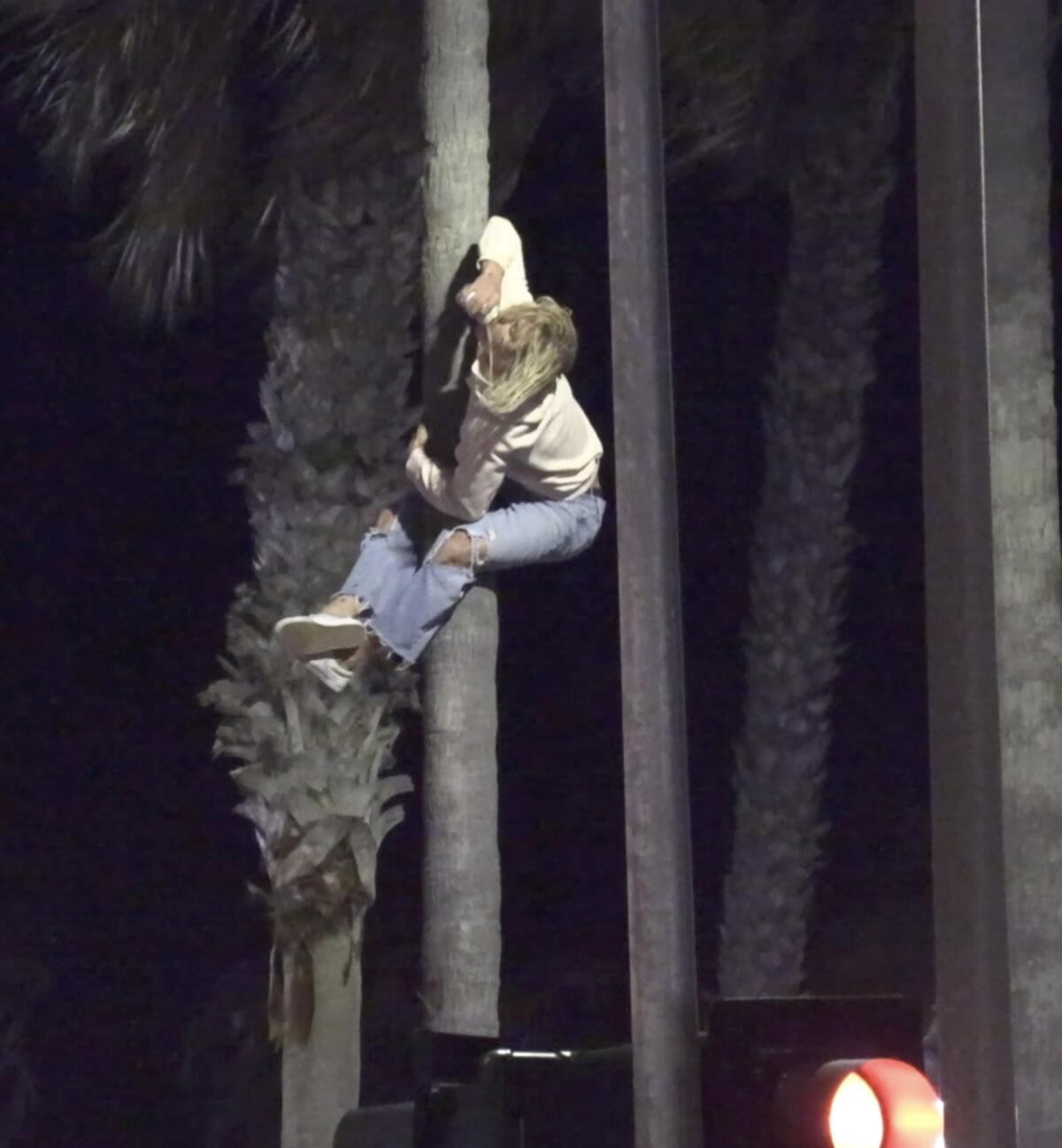 Los asistentes a la fiesta escalaron palmeras y postes de banderas y saltaron desde el muelle.