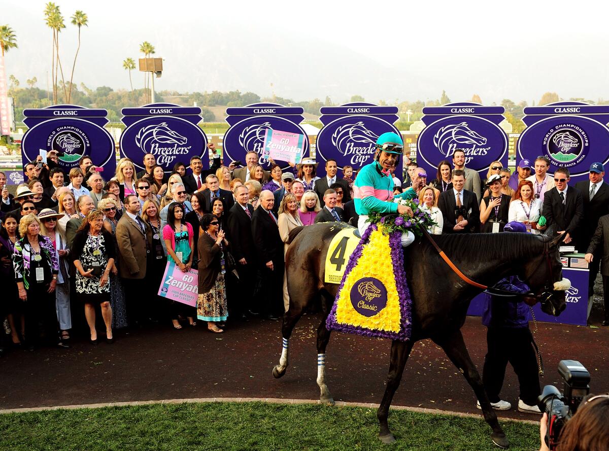 Jockey Mike Smith sits atop Zenyatta in the winner's circle during the Breeders' Cup at Santa Anita in 2009.