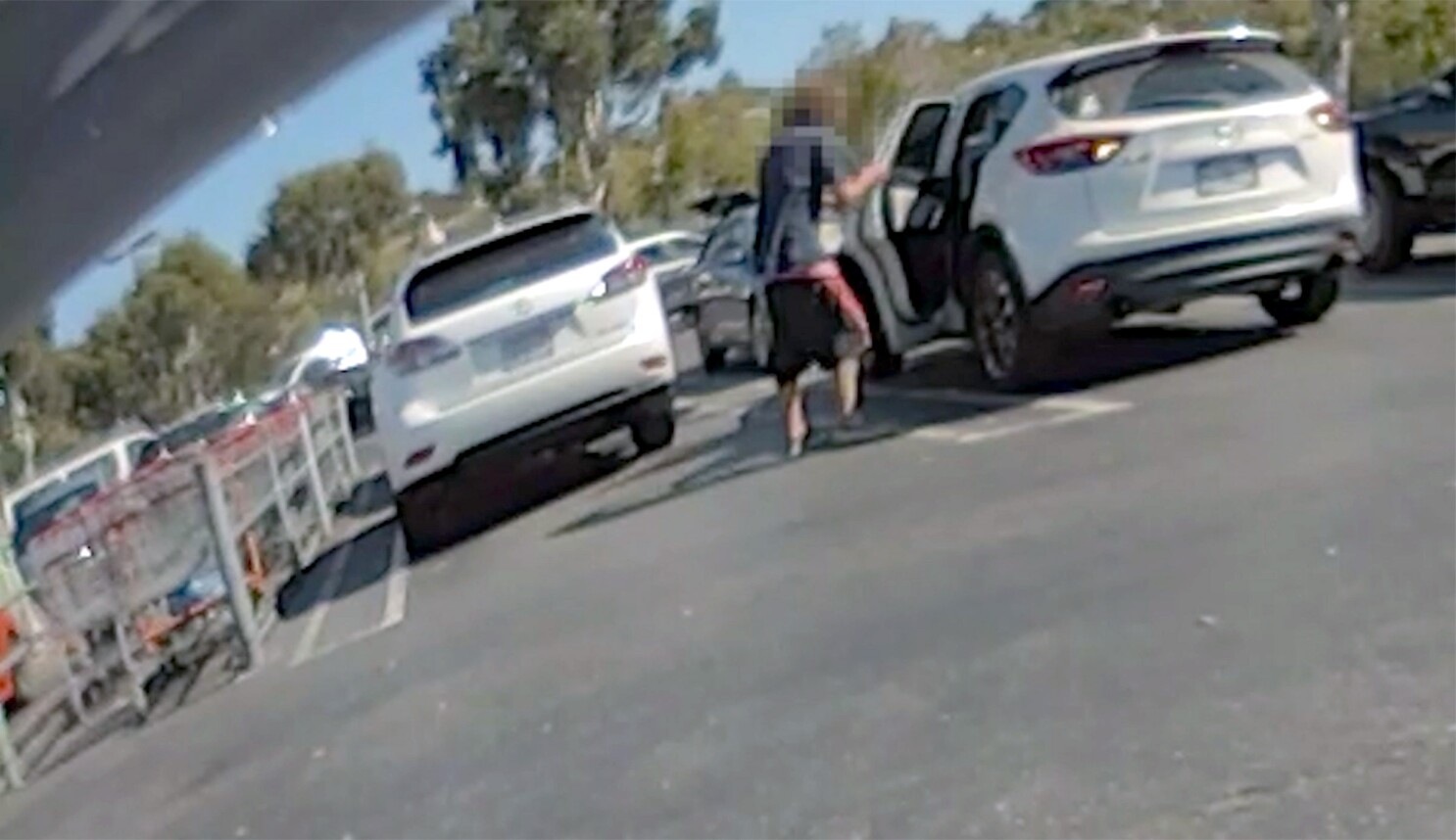 attempted kidnapping arrest