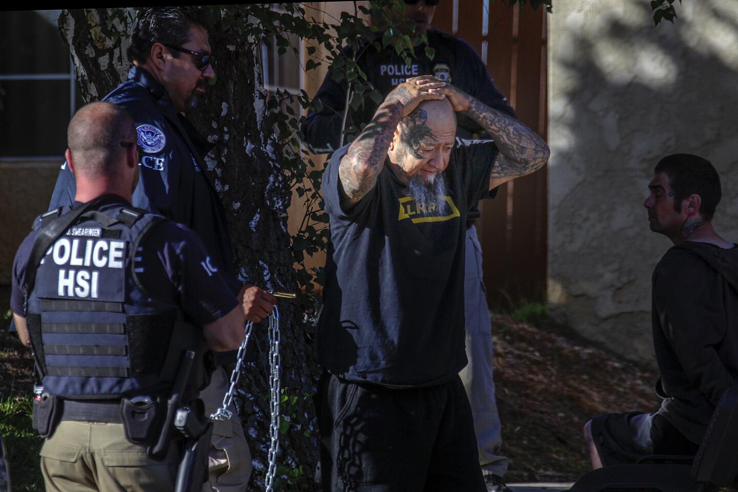 Federal agents Friday arrest a person with Vagos motorcycle gang tattoos in California as part of a sweeping operation targeting the biker gang.