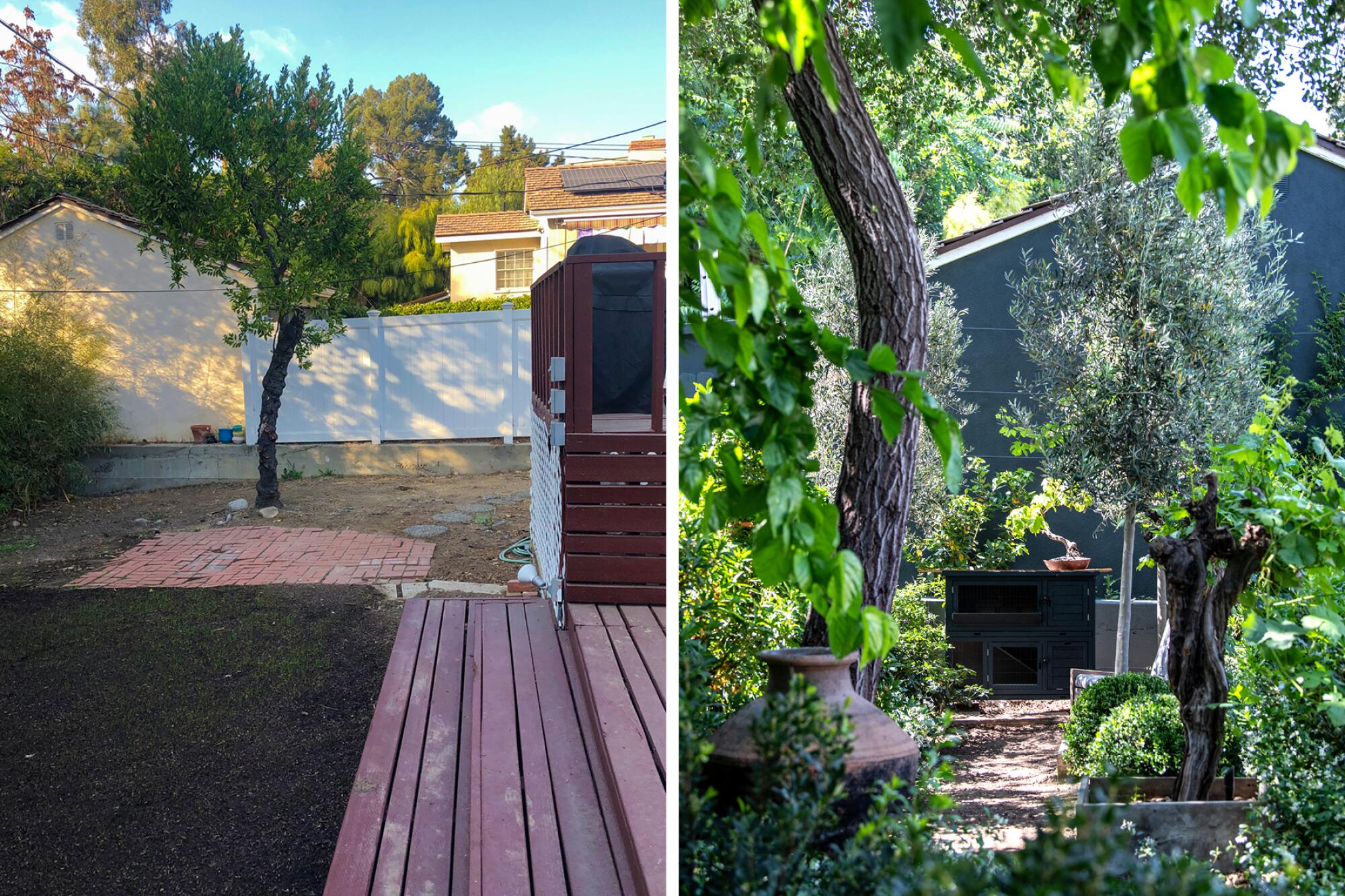Paul Robbins' backyard before and after