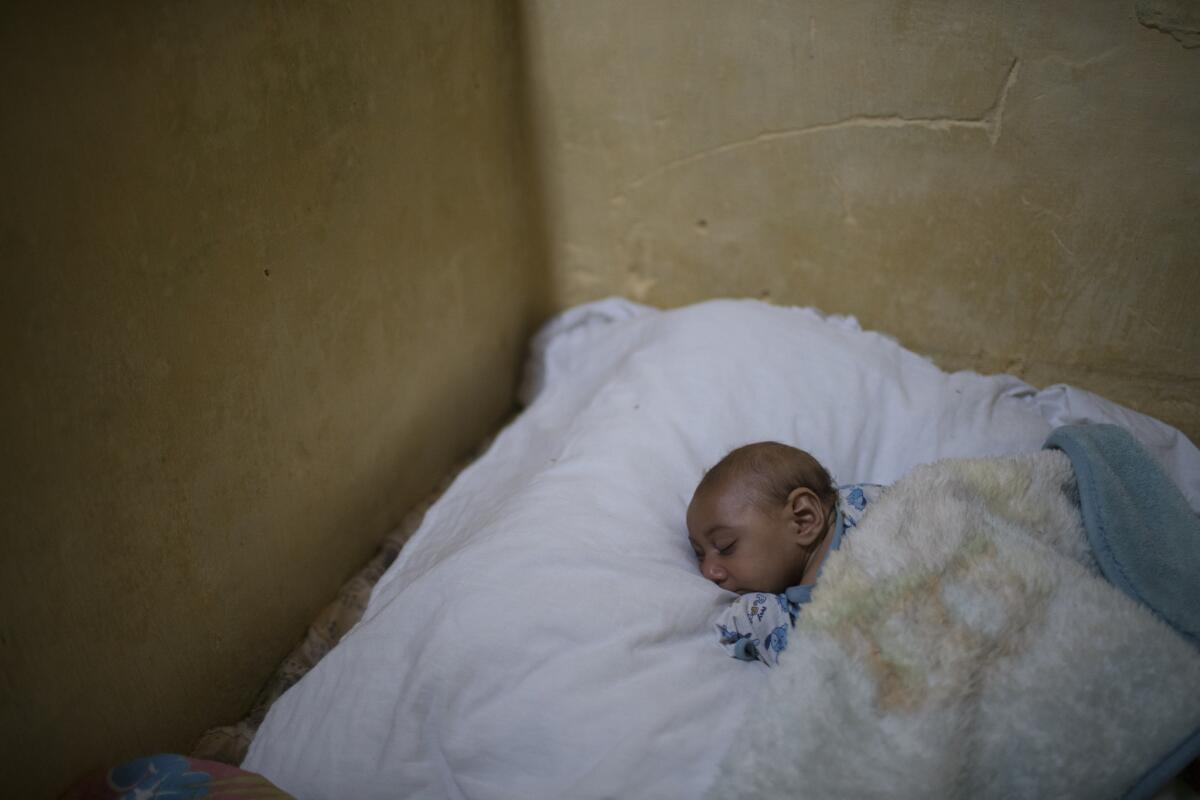 En esta imagen, Jose Wesley, que sufre microcefalia, duerme sobre una gran almohada en la cama de su madre en Bonito, en el estado de Pernambuco, Brasil. El fotógrafo de Associated Press hizo una segunda visita a Jose, al que conoció cuando cubrió el brote del virusdel zika y su supuesta conexión con la microcefalia en el estado brasileño. Ha pasado un mes, y no parecía que el pequeño José hubiera mejorado. No sólo gritaba de forma incontrolable, sino que uno de sus ojos sufría convulsiones. La madre del pequeño dijo haber sabido en consultas médicas que probablemente, José quedaría ciego y paralizado. Había perdido peso, de 7 a 5 kilogramos (15 a 11 libras), un enorme descenso para un bebé que debería estar creciendo. (AP Foto/Felipe Dana)