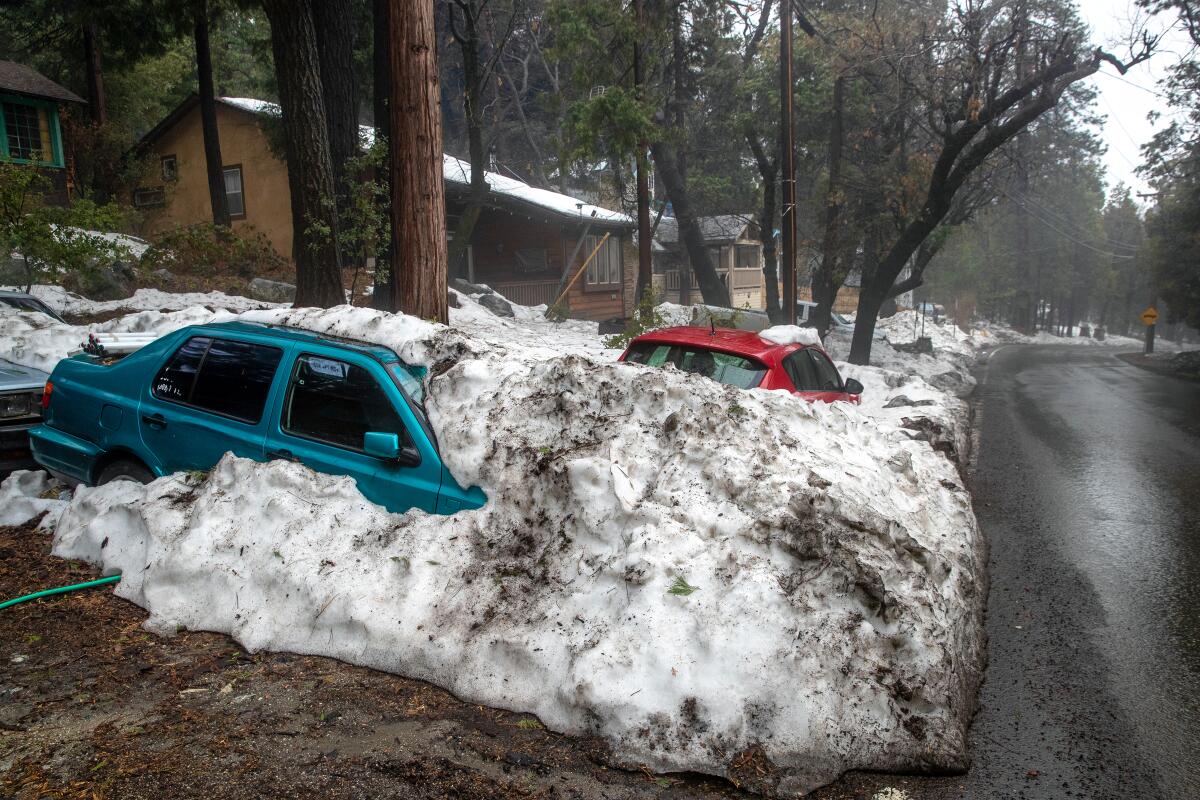 Two cars are partially buried under dirty snow near a road and a home surrounded by a pine forrest. 