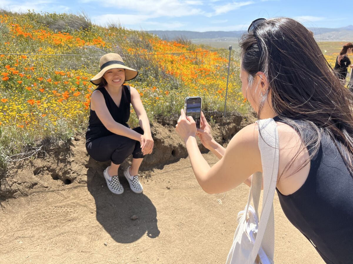 A woman holds up a phone and takes a photo of another woman in front of colorful wildflowers.