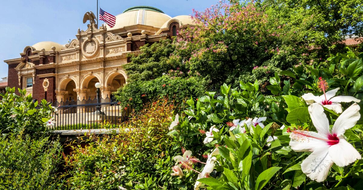 Woman gives birth on Los Angeles sidewalk outside Exposition Park Woman gives birth on Los Angeles sidewalk outside Exposition Park
