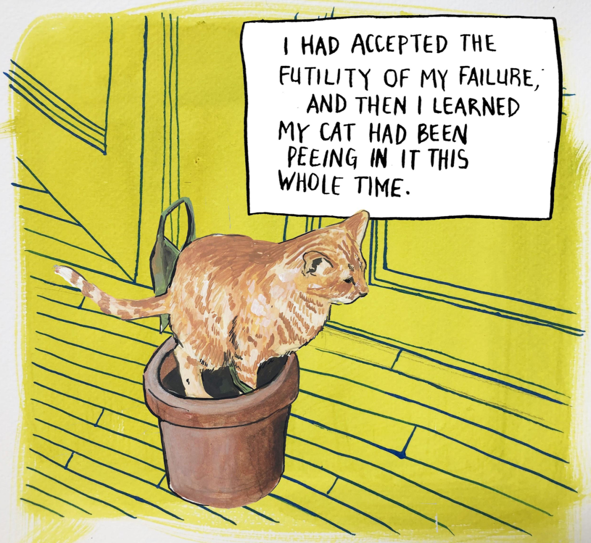 "I had accepted the futility of my failure and then I learned my cat had been peeing in it this whole time."