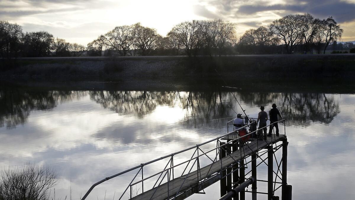 The Sacramento River in the San Joaquin-Sacramento River Delta, near Courtland, Calif. on Feb. 23, 2016.