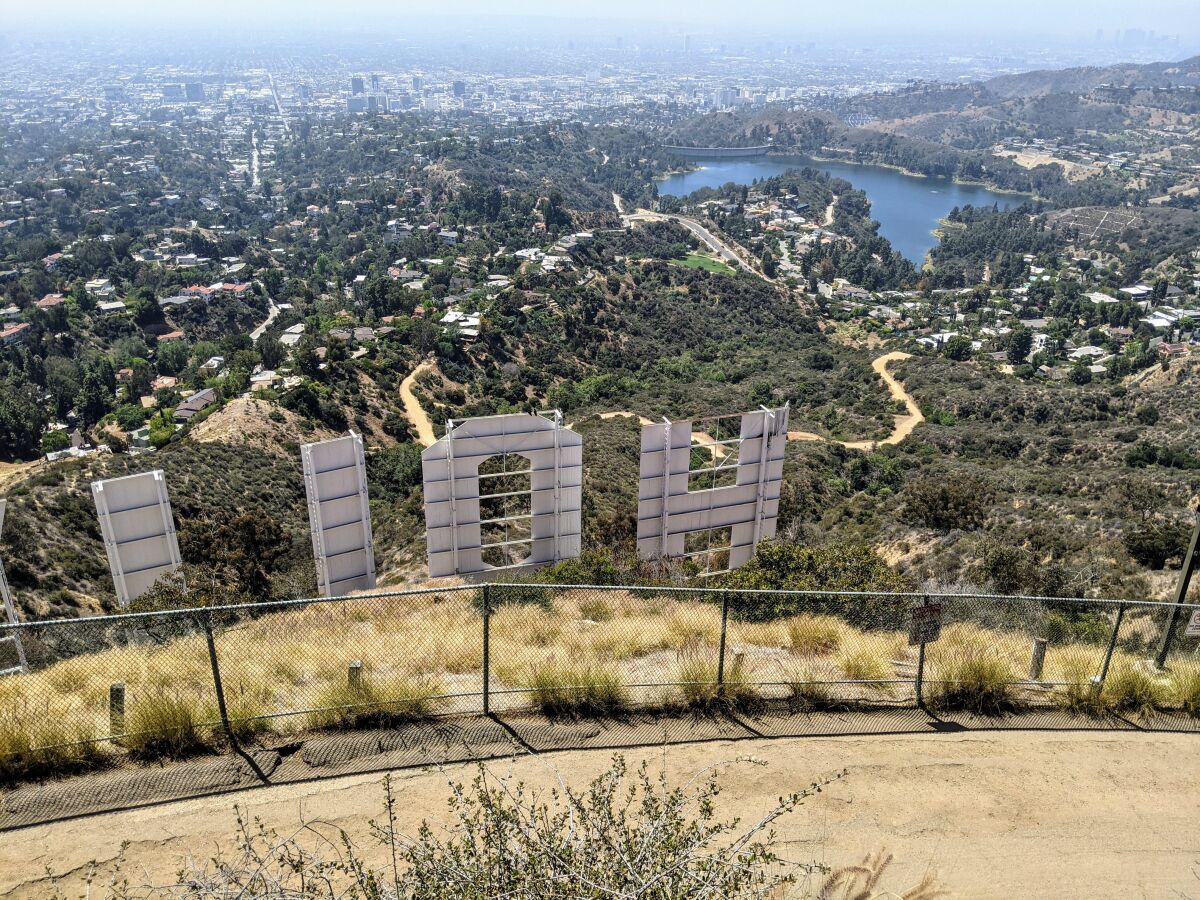 The back of the Hollywood sign seen from a hill with homes and a reservoir visible in the background.
