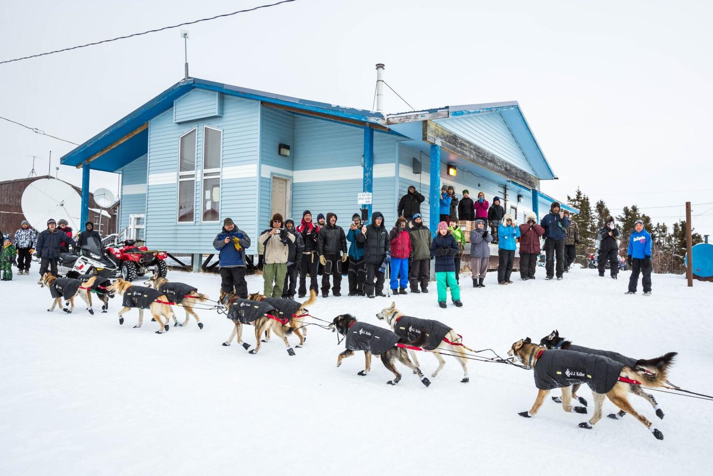 2015 Iditarod