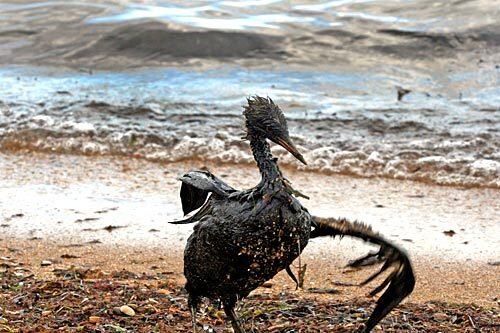 Russian oil spill