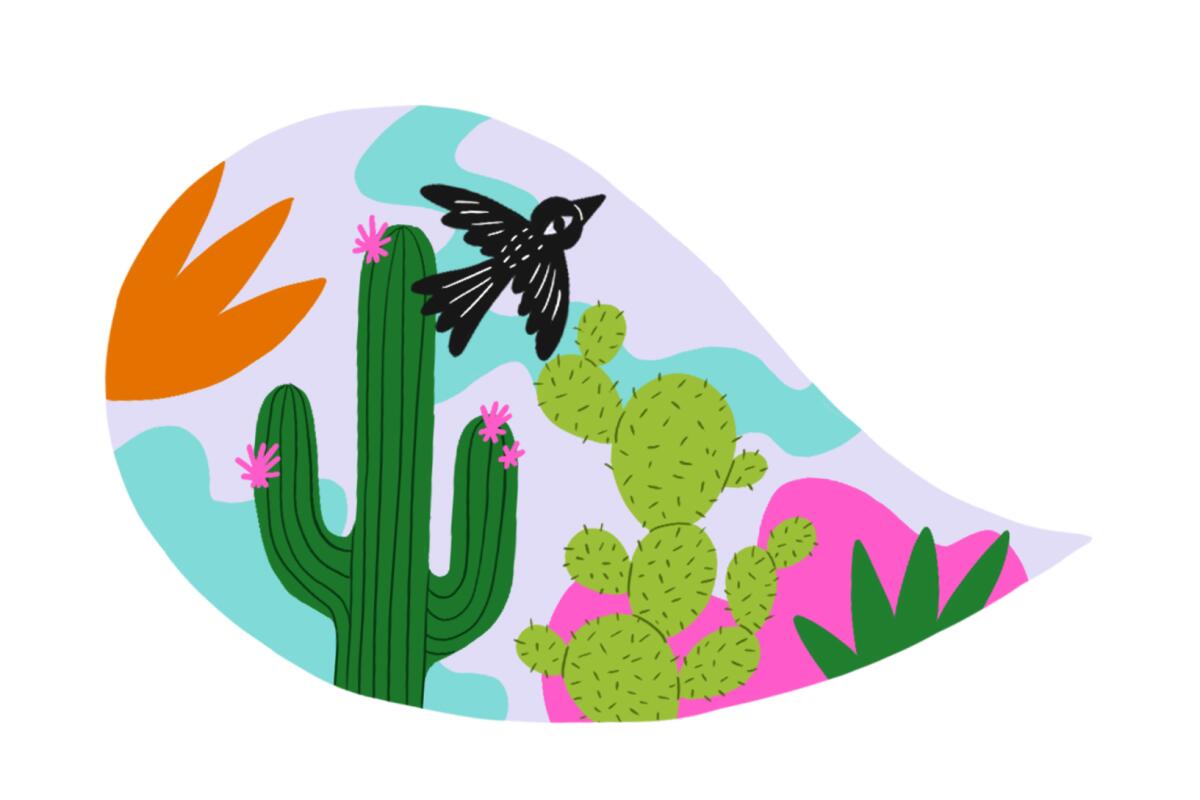 Speech bubble with images of cacti and a bird